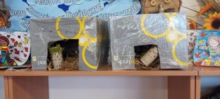 310305548_424158956505504_6414827243966382459_n